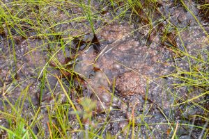 New initiative to track greenhouse gas levels