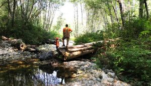 From UBC Geography to geoscience consulting