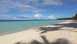 Decolonizing Conservation: A Reading List
