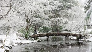 New COVID-19 arrangements for Winter Term 2