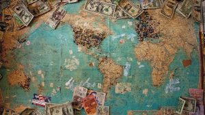 Evaded taxes could more than cover global biodiversity needs