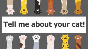 An illustration of colourful cat paws (beans up!) reaching towards text that reads “tell me about your cat!” Image by pch.vector/Freepik