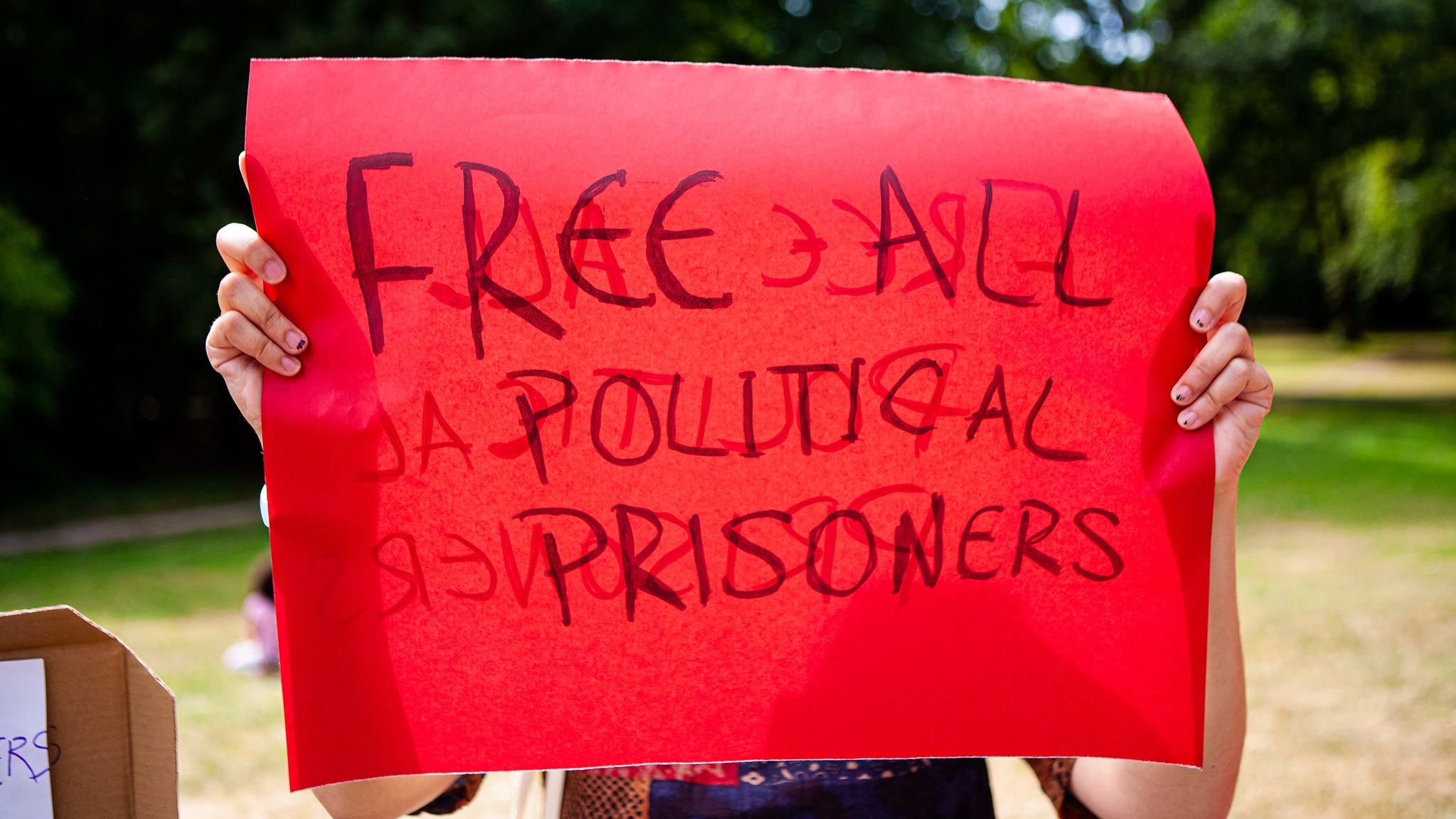 A red protest sign reads: Free all political prisoners
