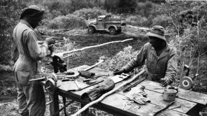 Alaska border project awarded SSHRC Insight Development Grant