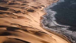 Oceanic relationships: a Q&A with postdoctoral fellow Rosanna Carver