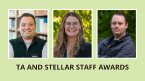TA and Stellar Staff Awards 2022