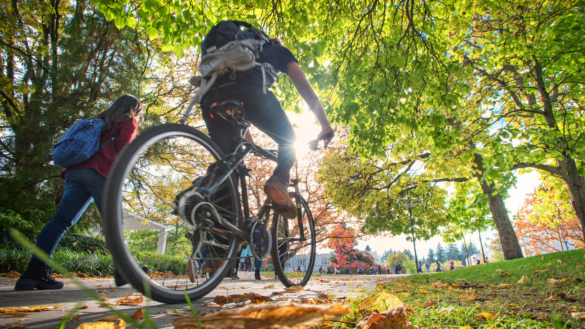 Image taken from ground level of a student cycling across campus on a sunny fall day