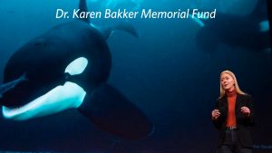 Dr. Karen Bakker Memorial Fund