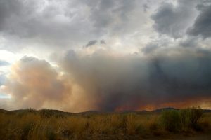 Where there’s fire, there’s smoke: New app estimates health impacts of breathing smoke from wildfires